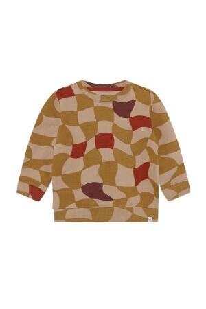 Noppies Sweater Remo N435 Check Pattern L.Brown