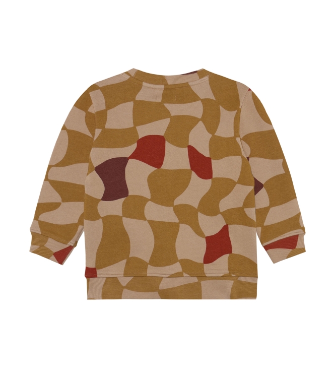 Noppies truien & vesten N435 Check Pattern L.Brown 5580214