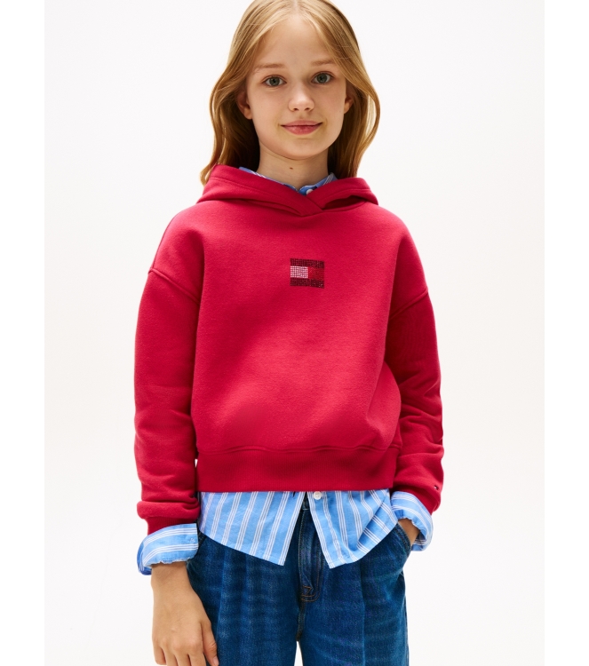 Tommy Hilfiger truien & vesten XJP Ruby Rhubarb KG0KG09016