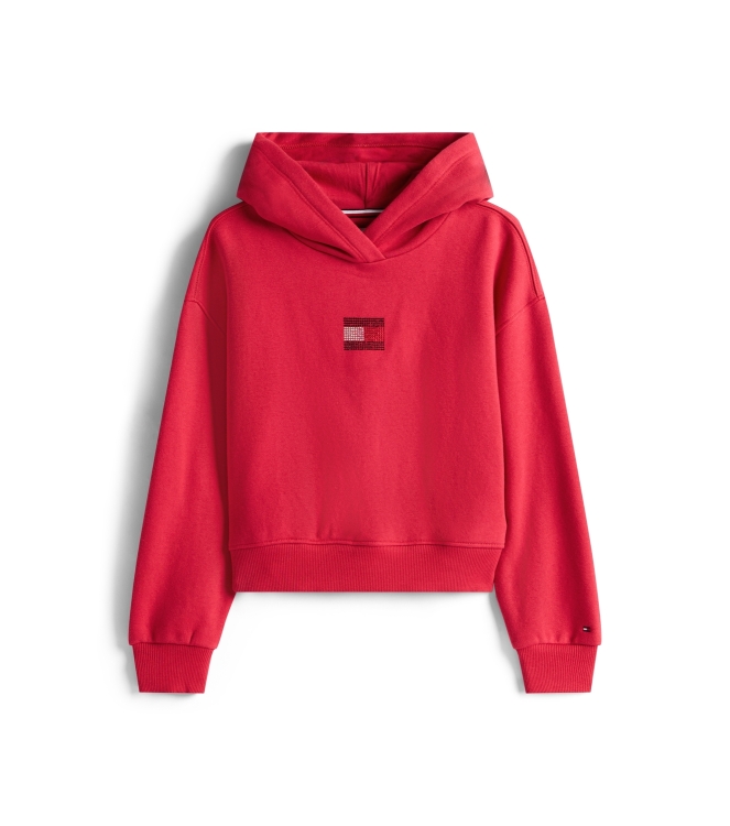 Tommy Hilfiger truien & vesten XJP Ruby Rhubarb KG0KG09016