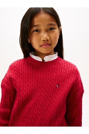 Tommy Hilfiger truien & vesten XJP Ruby Rhubarb KG0KG08848