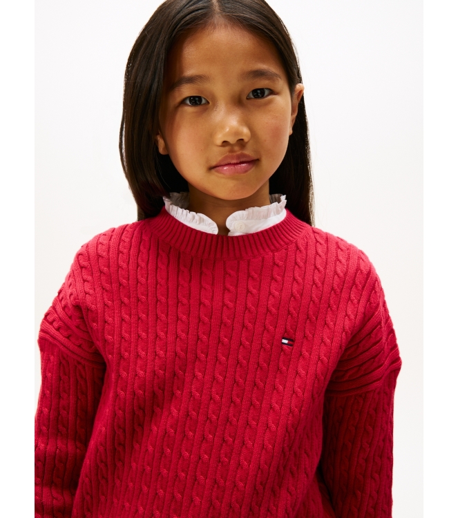 Tommy Hilfiger truien & vesten XJP Ruby Rhubarb KG0KG08848
