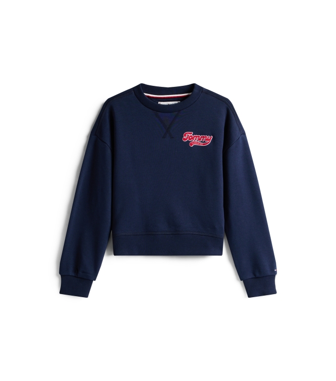 Tommy Hilfiger truien & vesten C1G Dark Night Navy KG0KG08779