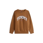 Tommy Hilfiger truien GVP Pecan Nut KB0KB09899