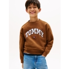 Tommy Hilfiger truien GVP Pecan Nut KB0KB09899