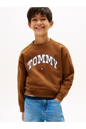 Tommy Hilfiger truien & vesten GVP Pecan Nut KB0KB09899