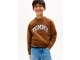 Tommy Hilfiger truien GVP Pecan Nut KB0KB09899