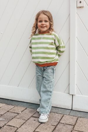 Your Wishes truien & vesten 683 Tarragon YSC25-683STD