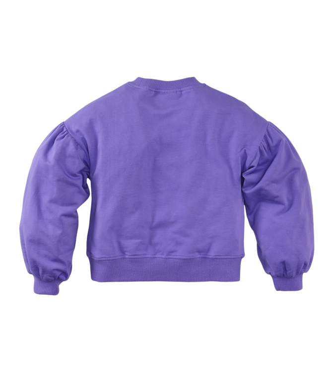 Z8 truien & vesten Icy lilac Cerella