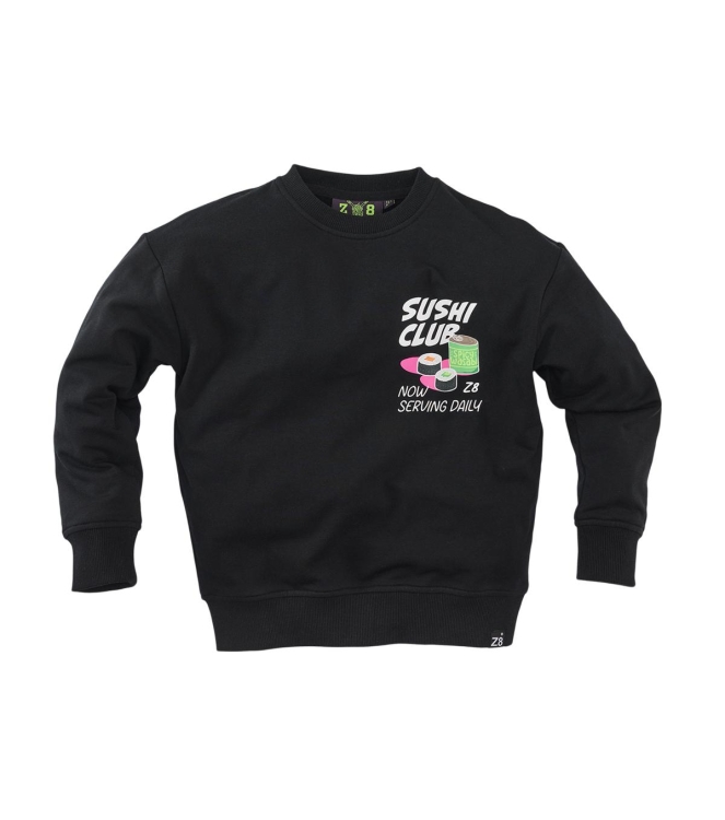 Z8 truien & vesten Night sky Aero