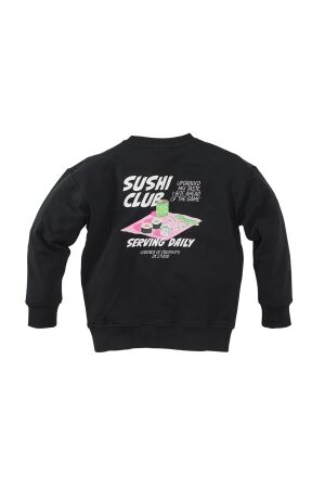 Z8 truien & vesten Night sky Aero