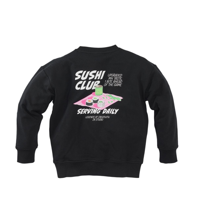 Z8 truien & vesten Night sky Aero