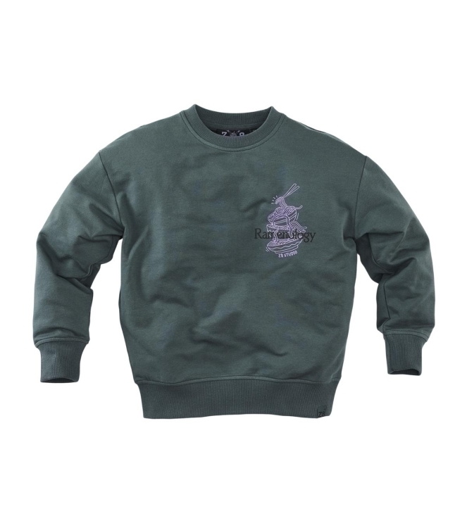 Z8 truien & vesten Seafoam shadow Bowie