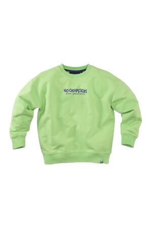 Z8 Brex Sweater Spring leaf