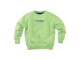 Z8 truien Spring leaf Brex