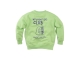 Z8 truien Spring leaf Brex