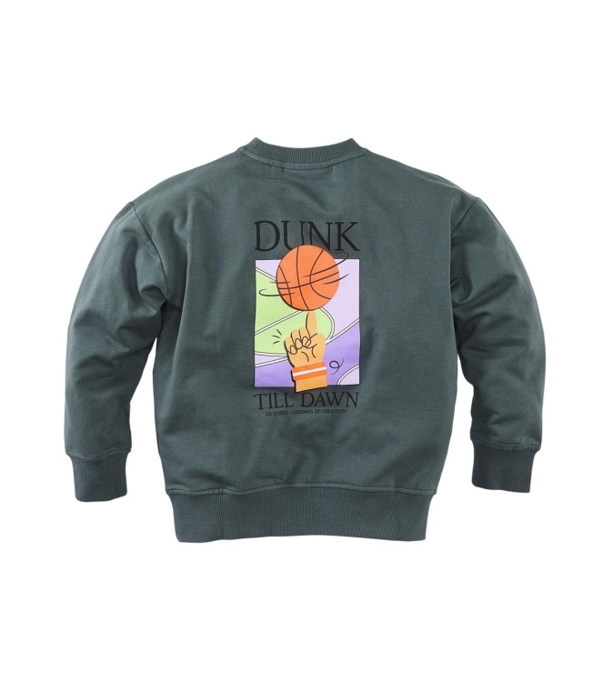 Z8 truien & vesten Seafoam shadow Luka