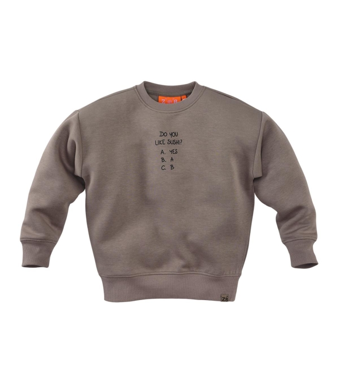 Z8 truien & vesten Twilight taupe Misja