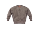 Z8 truien Twilight taupe Misja