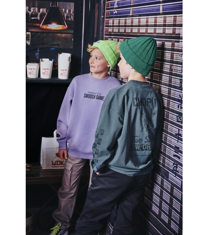 Z8 truien & vesten Smokey lilac Neyo
