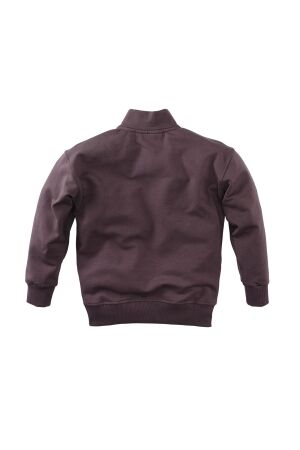 Z8 truien & vesten Frosted plum Niran