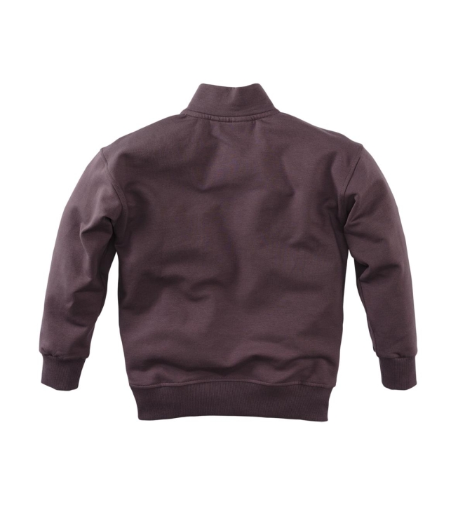Z8 truien & vesten Frosted plum Niran