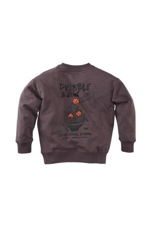Z8 truien & vesten Frosted plum Teo