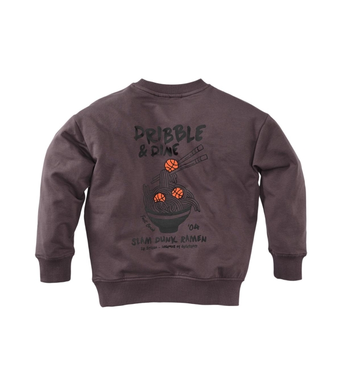 Z8 truien & vesten Frosted plum Teo