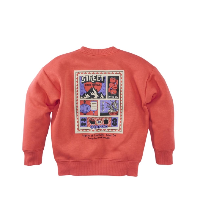 Z8 truien & vesten Tropical coral Tyce