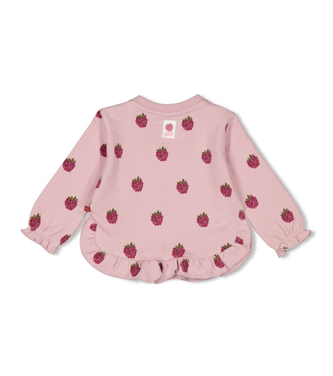 Feetje truien & vesten 254 l.Lila 51602444