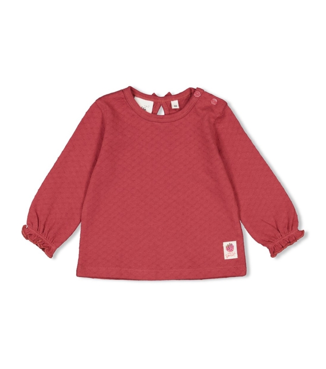 Feetje shirts 115 Berry 51602445