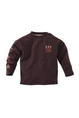 Z8 Raoul Sweater Brownstone