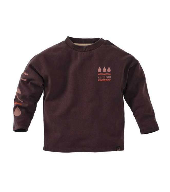 Z8 truien & vesten Brownstone Raoul