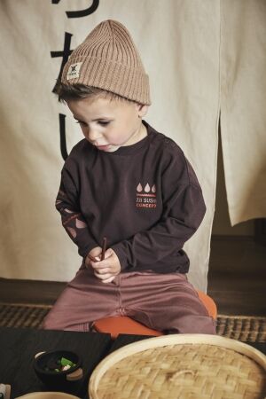 Z8 truien & vesten Brownstone Raoul
