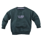 Z8 truien Seafoam shadow Jurgen