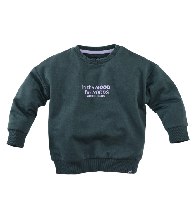 Z8 truien & vesten Seafoam shadow Jurgen