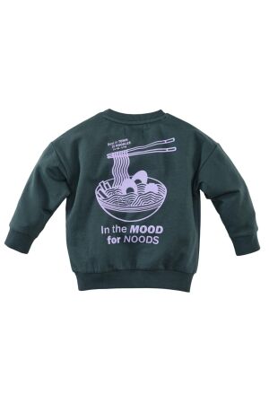 Z8 truien & vesten Seafoam shadow Jurgen
