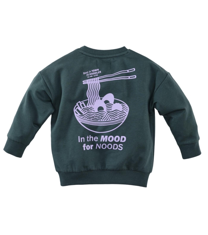 Z8 truien & vesten Seafoam shadow Jurgen