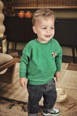Z8 truien & vesten Jelly bean Tijl