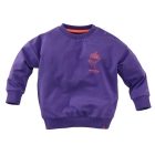 Z8 truien Purpureus Teun