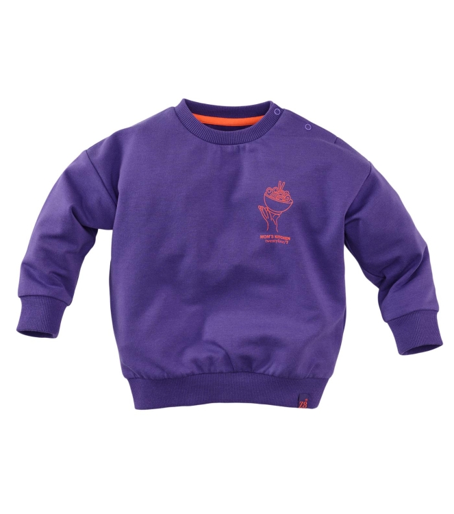 Z8 truien & vesten Purpureus Teun