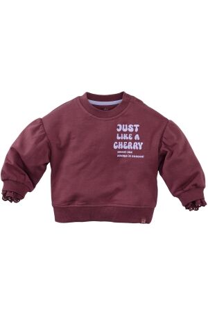 Z8 Lizelot Sweater Spicy mauve