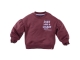Z8 truien Spicy mauve Lizelot