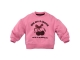 Z8 truien Wild rose Lichelle