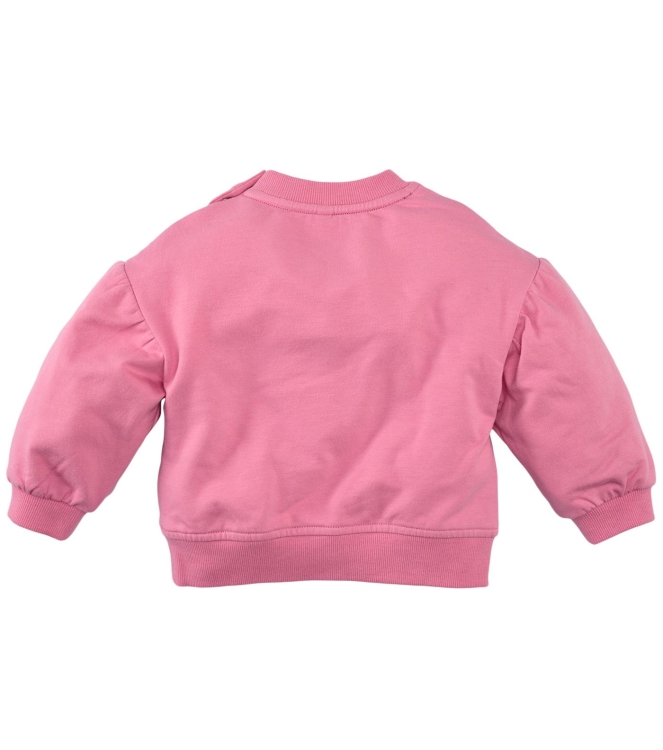 Z8 truien & vesten Wild rose Lichelle