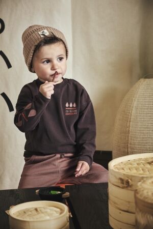 Z8 broeken Amber brown Lieuwe