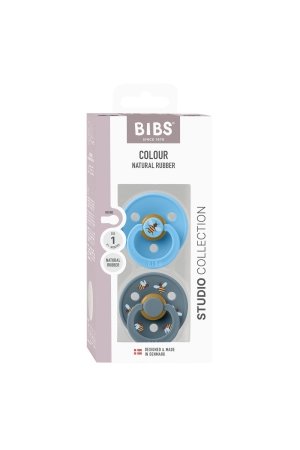 BIBS Bibs spenen 2-pack Bijtjes Breeze Mix
