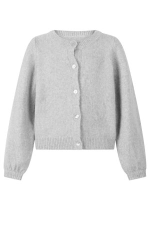 Ai&Ko truien & vesten 163915 Nickle Grey Jady