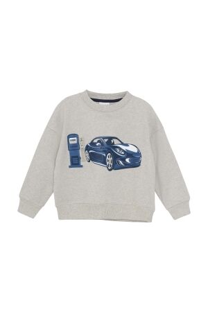 Minymo Sweatshirt 2055 Beige Melange