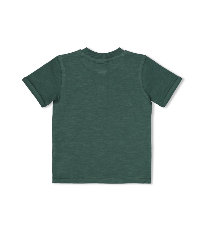 Feetje shirts 300 Groen 51700874